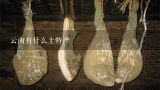 云南有什么土特产,宣威火腿肉、白芸豆怎么做好吃？
