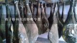冰子虾和大青虾哪个贵,温州干虾100一斤贵吗