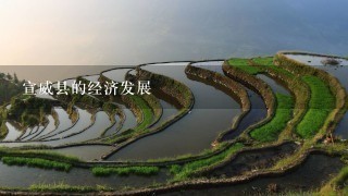 宣威县的经济发展