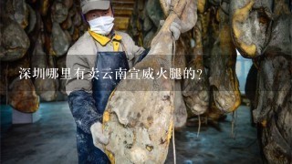 深圳哪里有卖云南宣威火腿的?