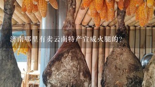 济南哪里有卖云南特产宣威火腿的？