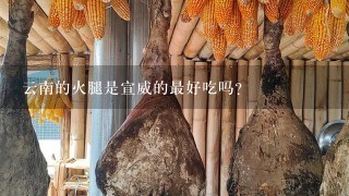 云南的火腿是宣威的最好吃吗？