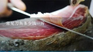 常见刀鱼多少钱1斤