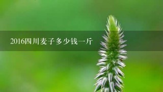20164川麦子多少钱1斤