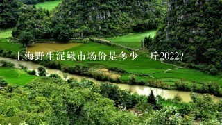 上海野生泥鳅市场价是多少1斤2022？