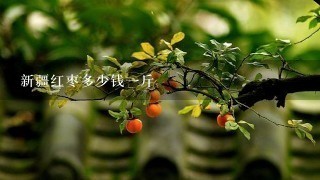 新疆红枣多少钱1斤