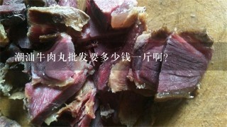 潮汕牛肉丸批发要多少钱1斤啊？