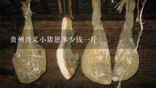 贵州兴义小猪崽多少钱1斤