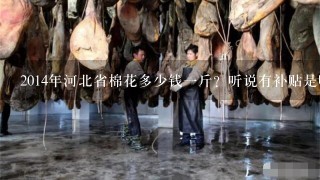 2014年河北省棉花多少钱1斤？听说有补贴是吗
