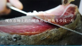 现在市场上的白鲢鱼和花鲢鱼多少钱1斤