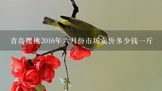 青岛樱桃2016年6月份市场卖价多少钱1斤