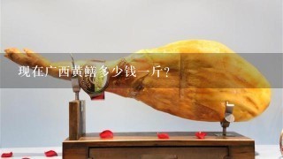 现在广西黄鳝多少钱1斤？