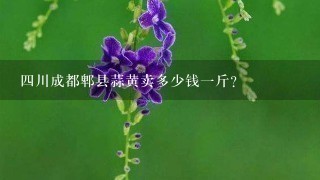 4川成都郫县蒜黄卖多少钱1斤？
