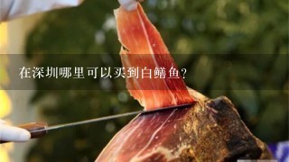 在深圳哪里可以买到白鳝鱼？