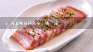 广西玉林黄鳝鱼多少钱1斤