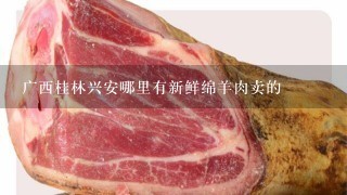 广西桂林兴安哪里有新鲜绵羊肉卖的