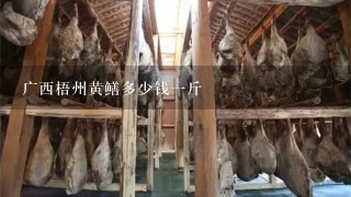 广西梧州黄鳝多少钱1斤